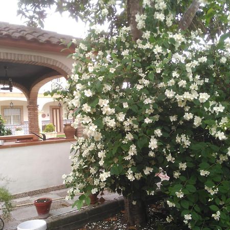 Villa Vivienda Turistica Rural Mari Carmen Baeza Esterno foto