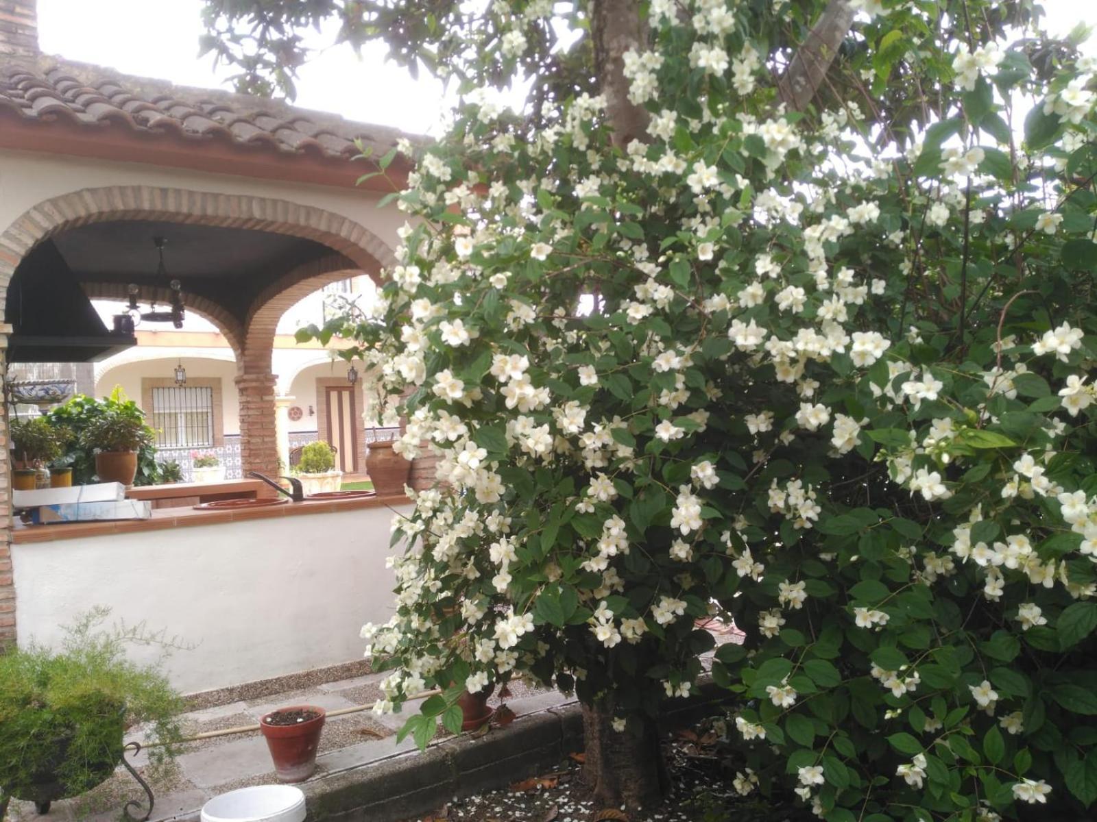 Villa Vivienda Turistica Rural Mari Carmen Baeza Esterno foto