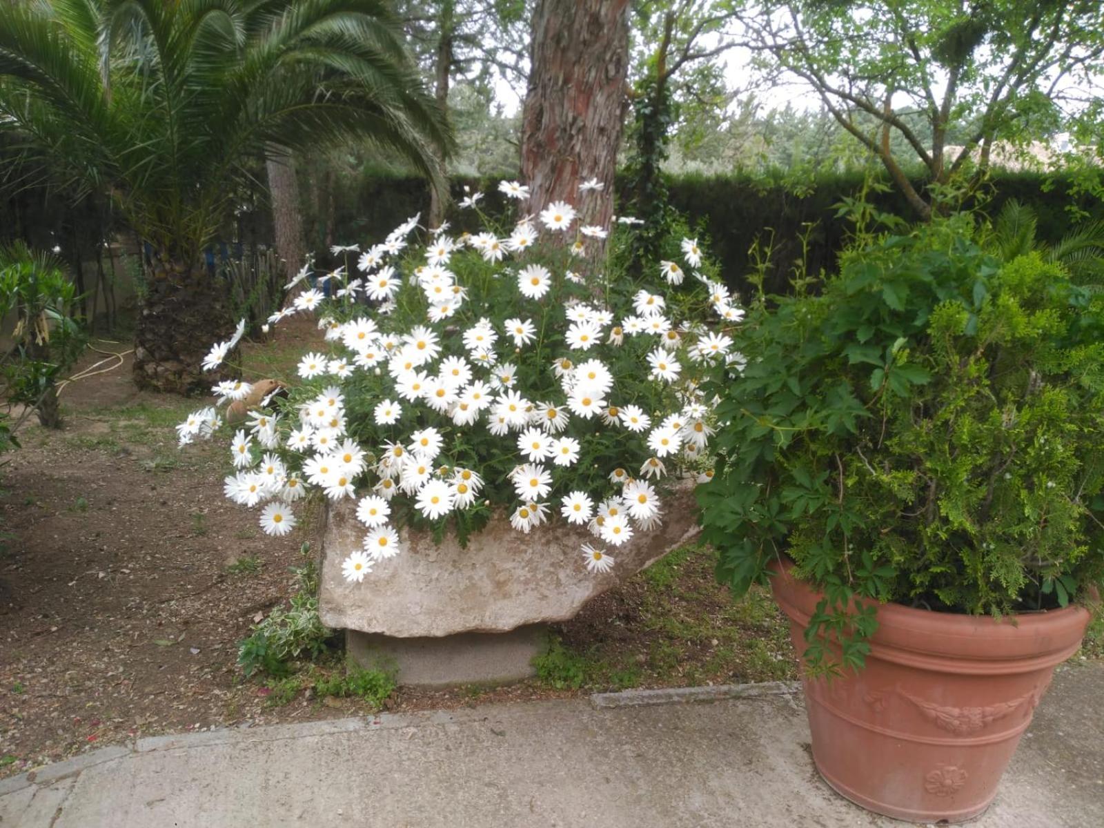 Villa Vivienda Turistica Rural Mari Carmen Baeza Esterno foto